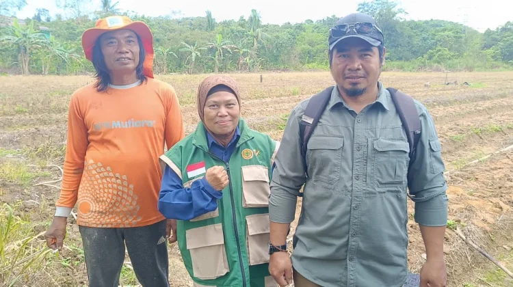Petani Makroman Butuh Pendampingan Khusus Budidaya Cabai