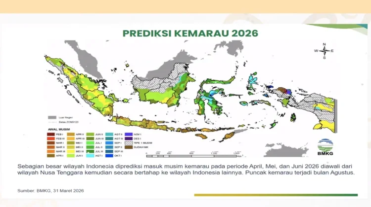 Antisipasi El Nino, Kaltim Diminta Percepat Penanaman