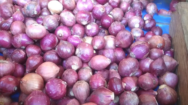 BI Kaltim Soroti Harga Beras dan Bawang Merah di Atas Nasional