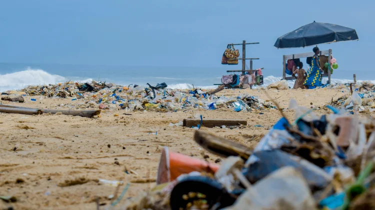 Bulan Cinta Laut Dorong Target Indonesia Bebas Sampah Plastik 2040