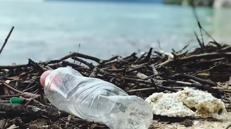 Sampah Laut Didominasi dari Daratan, Edukasi Terus Digencarkan