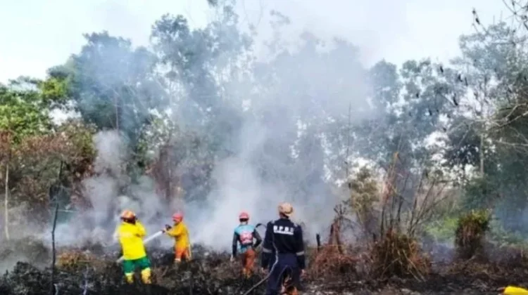 BPBD Samarinda Imbau Warga Antisipasi Kebakaran saat Kemarau