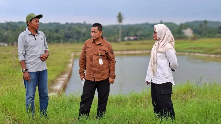 Dorong Kemandirian Benih, BRMP Kaltim Gandeng Petani Loa Kulu