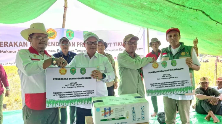 Antisipasi Hama Tikus, Gerdal Pra Tanam Digelar di Tenggarong Seberang Kukar