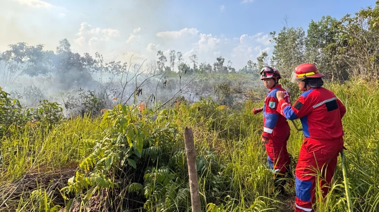 Kebakaran Lahan 1 Hektare di Senaken, Api Sempat Mendekati Permukiman