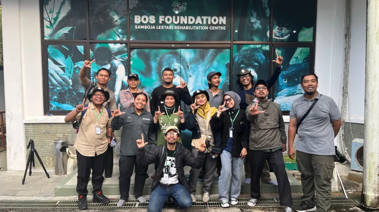 Bangun Kembali Hutan Borneo, Konservasi Orangutan Libatkan Peran Masyarakat