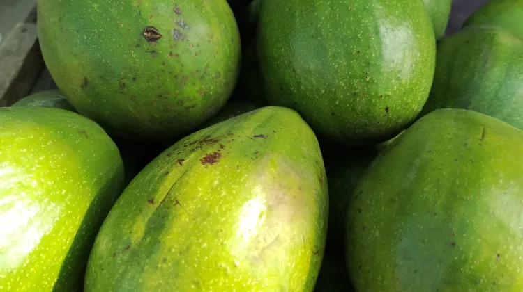Lima Buah Tropis Indonesia yang di rekomendasikan Pakar Nutrisi