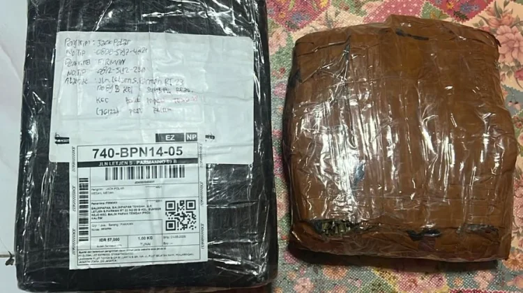Polda Kaltim Ringkus Pengedar Ganja 1Kg di Balikpapan