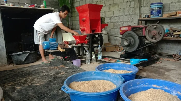 Pakan Mahal Ancam Budidaya Ikan, DKP Kaltim Dorong Pakan Mandiri