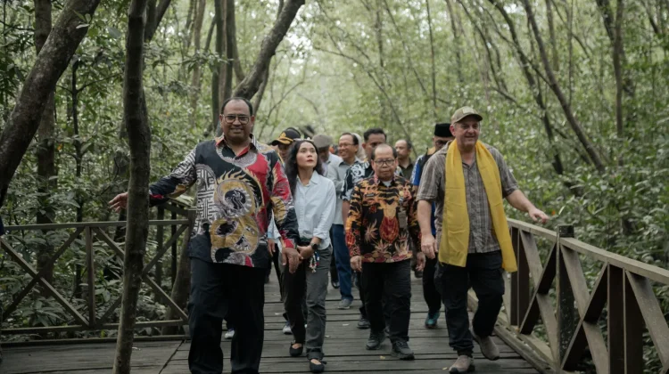 Pusat Kucurkan Dana Perkuat Ekowisata Mangrove PPU