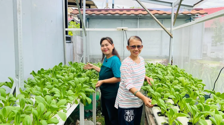 Rukun Tetangga di Balikpapan: Belajar Botani lewat Barcode di Halaman Rumah