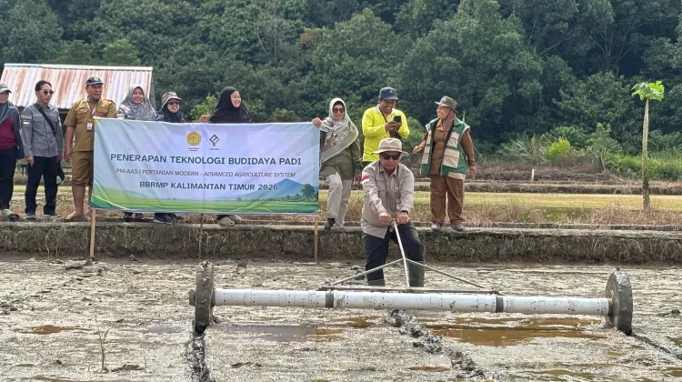 BRMP Kaltim Terapkan Sistem Pertanian Modern Tingkatkan Produksi Padi