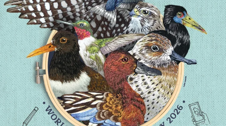 Hari Burung Bermigrasi Sedunia, Momentum Proteksi Habitat