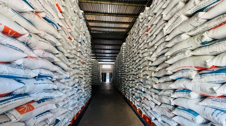 Stok Aman, Bulog Kaltimtara Genjot Pembangunan Gudang Baru untuk IKN