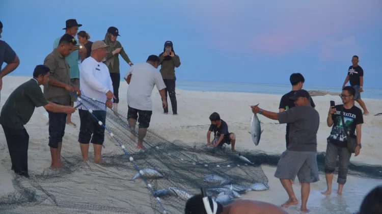 Tradisi “Sobat” Derawan, Sekali Tarik Bisa 500 Kilogram Tuna