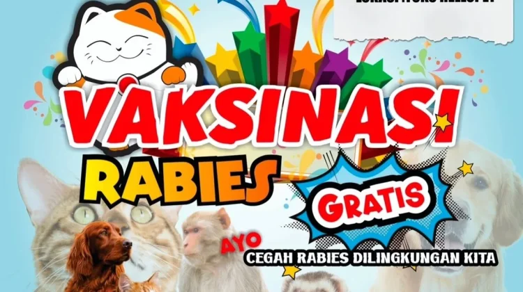 DKPP Samarinda Targetkan 2.000 Vaksin Rabies Hewan hingga Pertengahan 2026