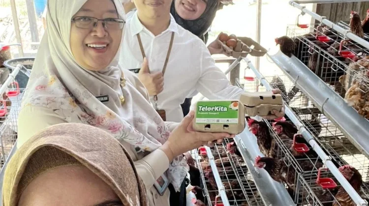 Produksi Telur Omega Loleng Perkuat Kemandirian Peternakan Kukar
