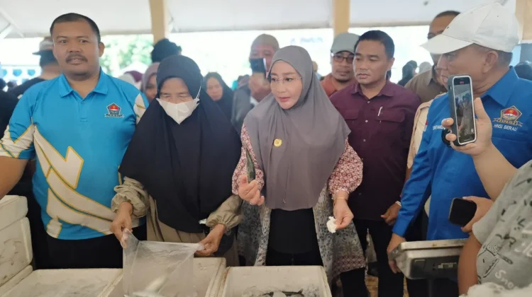 Turun Langsung ke tengah Keramaian, Bupati Berau Sapa Warga di Pasar Ikan Murah