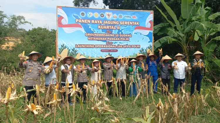 Polresta Balikpapan Gelar Panen Raya Jagung Dukung Swasembada Pangan