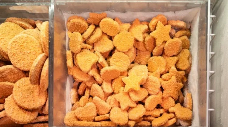 Dokter Soroti Risiko Makanan Instan dan Frozen Food
