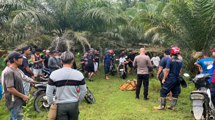 Korban Hilang di Aliran Sungai Kuaro Ditemukan dalam Keadaan Meninggal Dunia