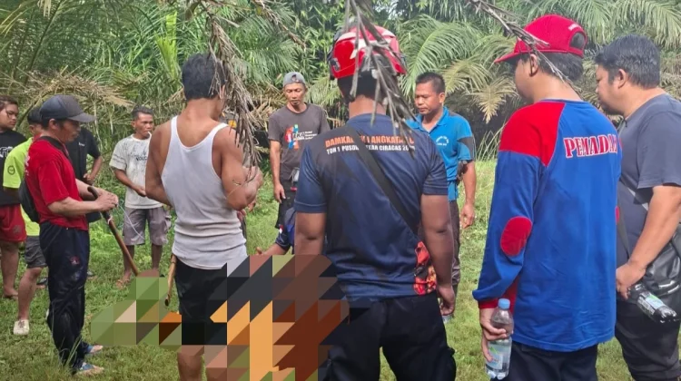 Hilang saat Memindahkan Ikatan Sapi, Warga Kuaro Ditemukan Meninggal