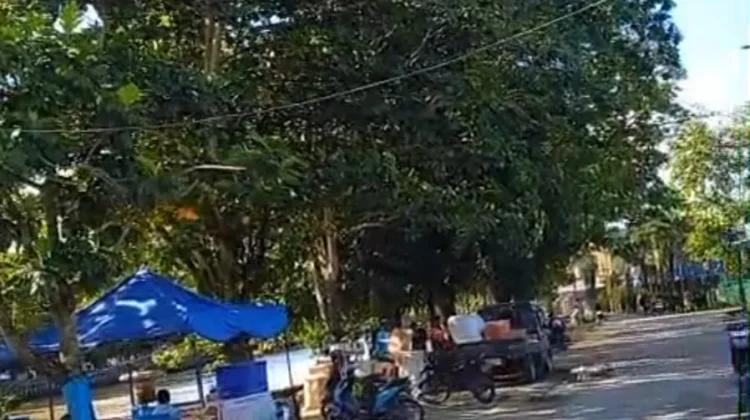 Halo RRI : Khawatir Tumbang, Pohon Tinggi Resahkan Warga Sungai Karang Mumus
