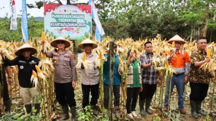 Kukar Sulap Lahan Bekas Tambang Jadi Sentra Pangan