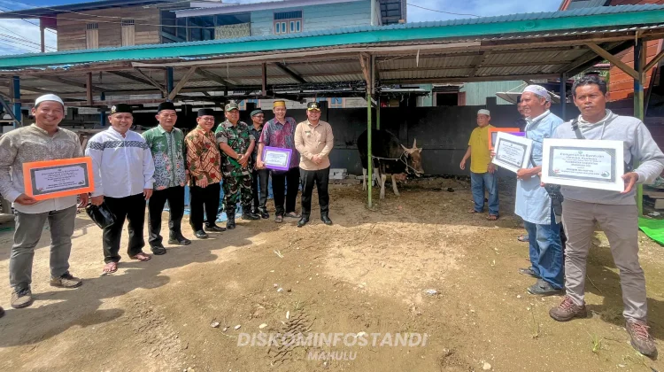 Pemkab Mahulu Salurkan Hewan Kurban ke Sejumlah Masjid
