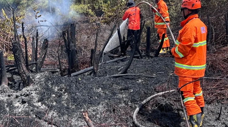 Karhutla Melanda Segah Berau, BPBD Kerahkan Fire Truck dan Water Supply