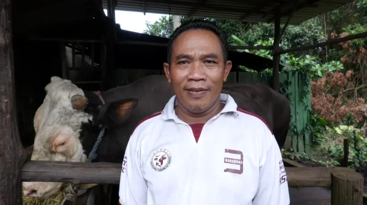 Penjualan Sapi di Kaltim Sepi, Ketua APPSI Borneo Mengaku Prihatin
