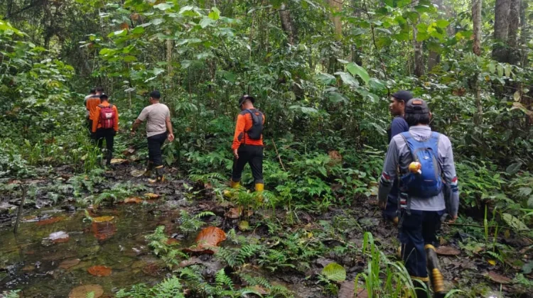 Pencarian Hari Kedua Warga Hilang di Hutan PT ITCIKU Sepaku Belum Membuahkan Hasil