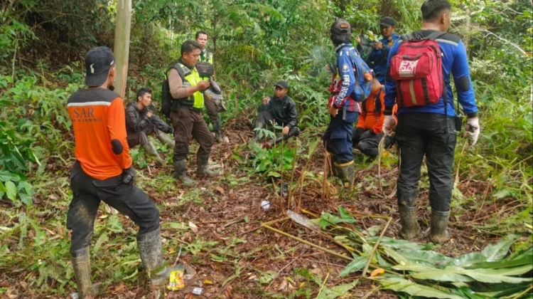 Penyisiran Besar-besaran di Hutan Sepaku, Korban Hilang Belum Ditemukan