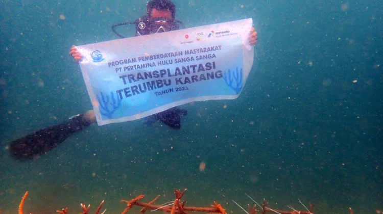 Menjaga Napas Laut dari Pesisir Muara Badak
