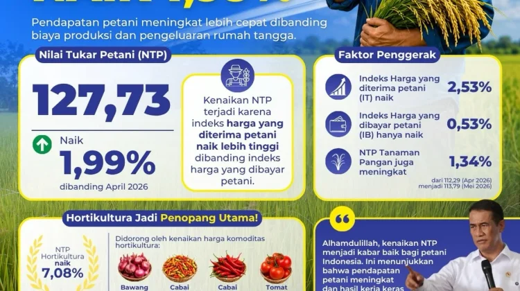 NTP Mei 2026 Naik Jadi 127,73, Kesejahteraan Petani Terus Menguat