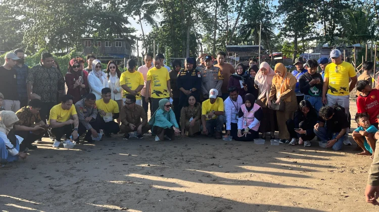 80 Tukik Penyu Lekang Dilepasliarkan di Pantai Damba Enggang Balikpapan
