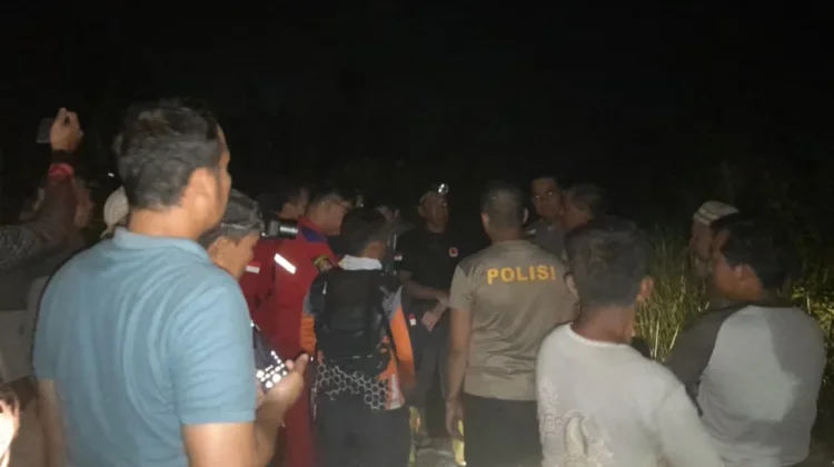 Petani Lansia Dilaporkan Hilang di Persawahan Paser