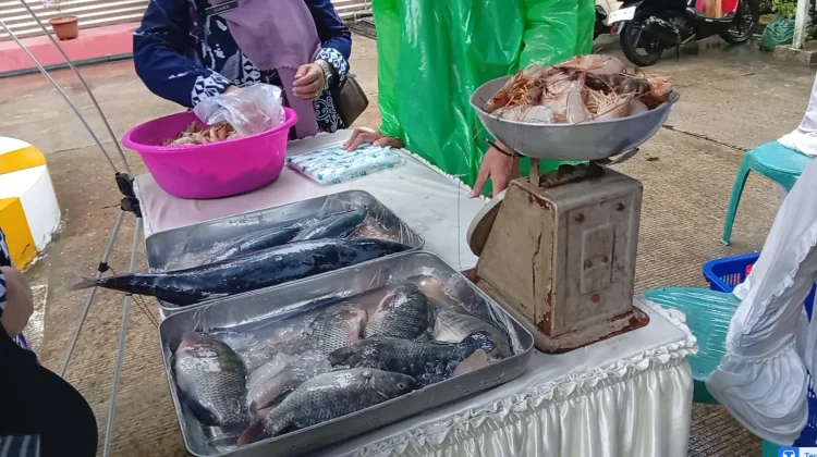 Dinas Kelautan dan Perikanan Kaltim Ajak Masyarakat Gemar Konsumsi Ikan