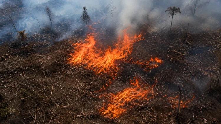 Wabup Berau Imbau Warga Hindari Bakar Lahan