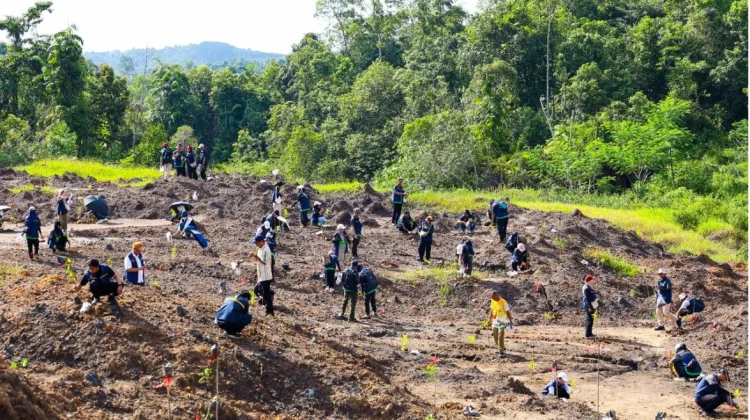 OIKN Percepat Pemulihan Hutan Bekas Tambang Ilegal di Tahura Bukit Soeharto