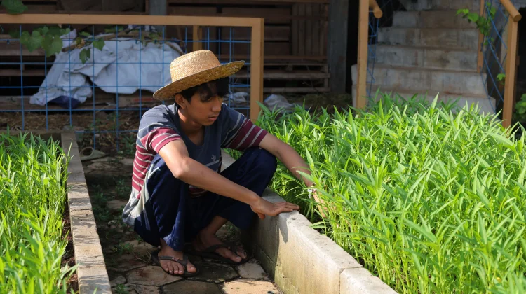 Ananda Nuryadi Ajak Anak Muda Lihat Pertanian Lebih Keren