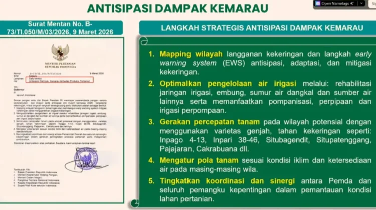 Kementan Waspadai Dampak Cuaca terhadap Produksi Pangan, Dorong Percepatan Tanam