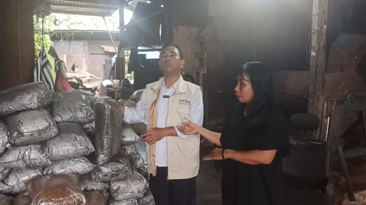 Usaha Cocopeat Samarinda Raup Pasar Luas hingga Proyek IKN