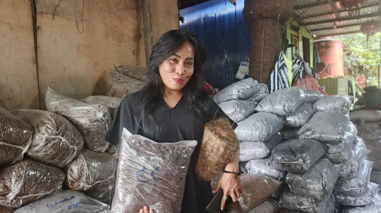 Bisnis Pupuk Organik Raup Puluhan Juta di Tengah Tren Pertanian Hijau