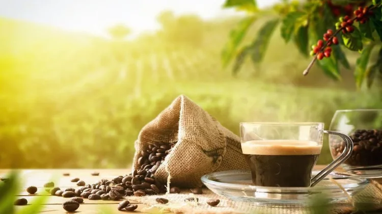 Tetap Bisa Ngopi, Ini Rahasia Mencegah Asam Lambung Naik