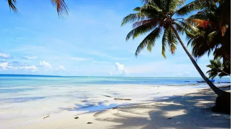 Dorong Pertumbuhan Ekonomi, Pemkab Berau Fokus Kembangkan Pariwisata