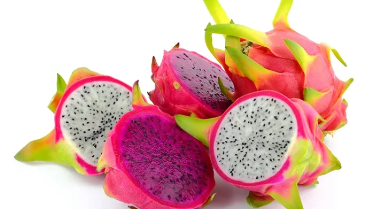 Buah Naga Merah vs Putih, Pilihan Terbaik untuk Kebutuhan Nutrisi