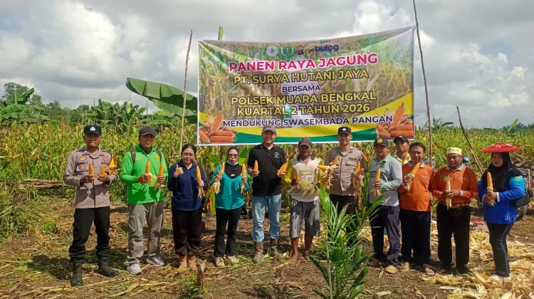 Dukung Swasembada Pangan, Polisi Kawal Panen Jagung Hibrida di Muara Bengkal