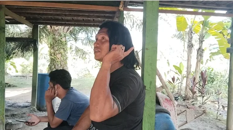 Konflik Orangutan di Kutim Kian Meresahkan, Warga Minta BKSDA Kaltim Translokasi