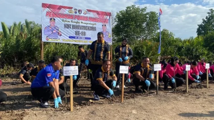 Polres Paser Tanam 150 Bibit Mangrove